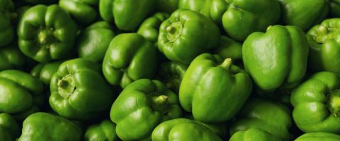 Closeup shot of fresh green paprika peppers bell- Stock Photo or Stock Video of rcfotostock | RC Photo Stock