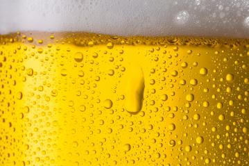 cold german beer with dew drops- Stock Photo or Stock Video of rcfotostock | RC Photo Stock