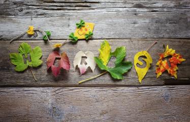 Colorful autumn leaves arranged to spell 