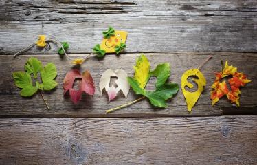Colorful autumn leaves arranged to spell "HARVEST" on a rustic wooden background, featuring a cheerful felt decoration, symbolizing fall, creativity, and seasonal decor : Stock Photo or Stock Video Download rcfotostock photos, images and assets rcfotostock | RC Photo Stock.: