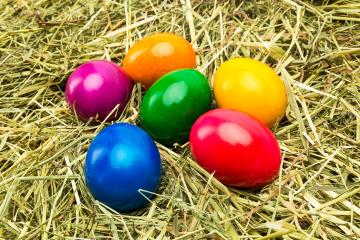 colorful easter egg in hay : Stock Photo or Stock Video Download rcfotostock photos, images and assets rcfotostock | RC-Photo-Stock.: