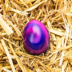 colorful easter egg in straw : Stock Photo or Stock Video Download rcfotostock photos, images and assets rcfotostock | RC-Photo-Stock.:
