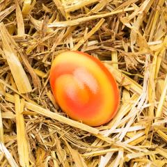 colorful easter egg on straw- Stock Photo or Stock Video of rcfotostock | RC-Photo-Stock