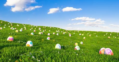 Colorful Painted Eggs in the grass of a meadow for easter- Stock Photo or Stock Video of rcfotostock | RC Photo Stock