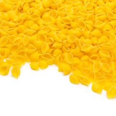 conchiglie noodels- Stock Photo or Stock Video of rcfotostock | RC Photo Stock