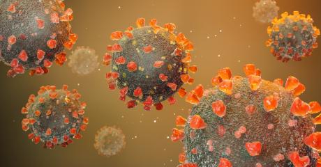 Corona virus Sars-CoV-2 - Schematic image of viruses of the Corona family. 3D rendering. : Stock Photo or Stock Video Download rcfotostock photos, images and assets rcfotostock | RC-Photo-Stock.: