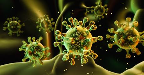 Coronavirus 2019-nCov novel coronavirus concept resposible for asian flu outbreak and coronaviruses influenza as dangerous flu strain cases as a pandemic. Microscope virus close up. : Stock Photo or Stock Video Download rcfotostock photos, images and assets rcfotostock | RC-Photo-Stock.: