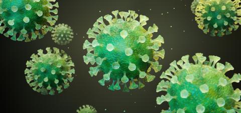 Coronavirus 2019-nCov novel coronavirus concept resposible for asian flu outbreak and coronaviruses influenza as dangerous flu strain cases as a pandemic. Microscope virus close up. 3d rendering. - Stock Photo or Stock Video of rcfotostock | RC-Photo-Stock