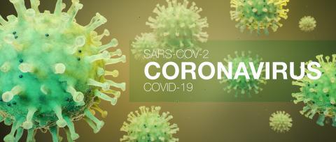 Coronavirus Sars-CoV-2 Covid-19 concept as panorama header (3D Rendering)- Stock Photo or Stock Video of rcfotostock | RC Photo Stock