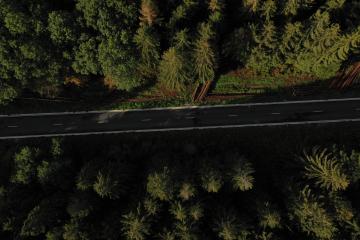 country road in the forest, Aerial view drone shot- Stock Photo or Stock Video of rcfotostock | RC Photo Stock