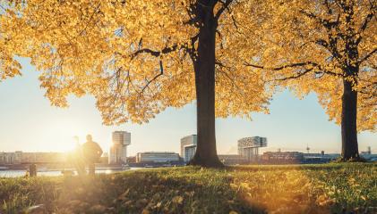 Couple sits on a bench at the rhine shore in cologne at autumn : Stock Photo or Stock Video Download rcfotostock photos, images and assets rcfotostock | RC Photo Stock.: