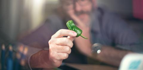Creative designer looks at green pepper, hot chili pepper : Stock Photo or Stock Video Download rcfotostock photos, images and assets rcfotostock | RC Photo Stock.: