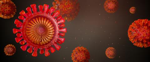 Cross-section of Sars-CoV-2 coronavirus which triggers the lung disease Covid-19 - copyspace for your individual text - 3D Rendering- Stock Photo or Stock Video of rcfotostock | RC-Photo-Stock