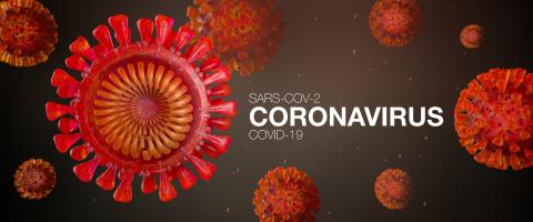 Cross-section of Sars-CoV-2 coronavirus which triggers the lung disease Covid-19 - 3D Rendering- Stock Photo or Stock Video of rcfotostock | RC-Photo-Stock