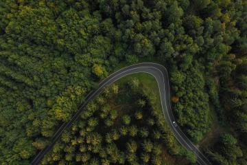 curved Road surrounded by trees in the forest, drone shot : Stock Photo or Stock Video Download rcfotostock photos, images and assets rcfotostock | RC Photo Stock.: