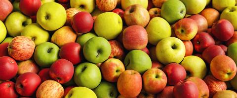 Delicious apples at farmers market as background, banner size- Stock Photo or Stock Video of rcfotostock | RC Photo Stock