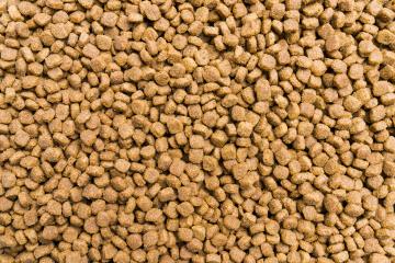 Dry food for dogs and cats. Pet meal background texture- Stock Photo or Stock Video of rcfotostock | RC Photo Stock