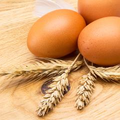 eggs from the farm : Stock Photo or Stock Video Download rcfotostock photos, images and assets rcfotostock | RC-Photo-Stock.: