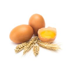 eggs with grain ears on white- Stock Photo or Stock Video of rcfotostock | RC-Photo-Stock