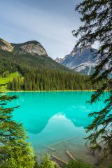 Emerald Lake in the Canadian Rockies at the Yoho National Park- Stock Photo or Stock Video of rcfotostock | RC Photo Stock