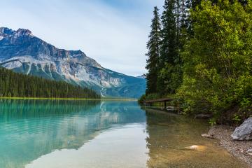 Emerald Lake,Yoho National Park in Canada : Stock Photo or Stock Video Download rcfotostock photos, images and assets rcfotostock | RC Photo Stock.:
