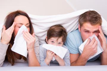 Family of three under a blanket, appearing sick and using tissues, illustrating cold or flu symptoms, with the mother, father, and child showing signs of illness in a home environment : Stock Photo or Stock Video Download rcfotostock photos, images and assets rcfotostock | RC Photo Stock.: