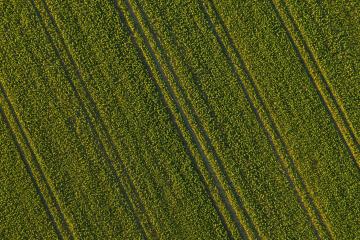 Farmland from above - aerial image of a lush green filed - view from a drone- Stock Photo or Stock Video of rcfotostock | RC-Photo-Stock