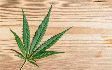 female Marijuana leaf on wooden background : Stock Photo or Stock Video Download rcfotostock photos, images and assets rcfotostock | RC Photo Stock.:
