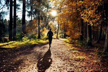 Female Runner in Silent Forest in spring with beautiful bright sun rays- Stock Photo or Stock Video of rcfotostock | RC-Photo-Stock