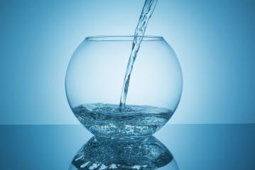 fill a fishbowl with water- Stock Photo or Stock Video of rcfotostock | RC-Photo-Stock