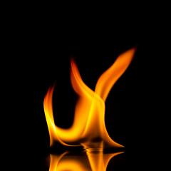 fire flames with reflection on black background- Stock Photo or Stock Video of rcfotostock | RC-Photo-Stock