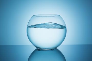 fishbowl glass with wavy water : Stock Photo or Stock Video Download rcfotostock photos, images and assets rcfotostock | RC Photo Stock.: