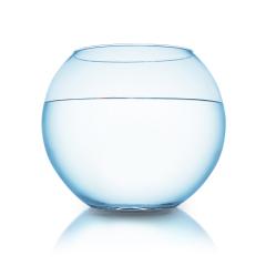 fishbowl isolated on white- Stock Photo or Stock Video of rcfotostock | RC-Photo-Stock