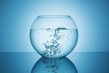 fishbowl with hot water- Stock Photo or Stock Video of rcfotostock | RC Photo Stock