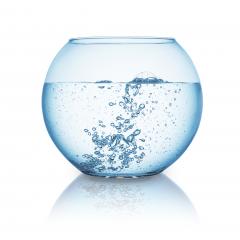 fishbowl with hot water : Stock Photo or Stock Video Download rcfotostock photos, images and assets rcfotostock | RC Photo Stock.: