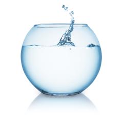 fishbowl with splash impact- Stock Photo or Stock Video of rcfotostock | RC Photo Stock