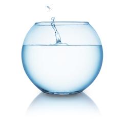 fishbowl with water splash- Stock Photo or Stock Video of rcfotostock | RC-Photo-Stock