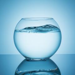 fishbowl with wavy water surface- Stock Photo or Stock Video of rcfotostock | RC-Photo-Stock