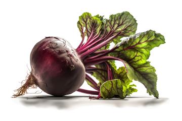 Fresh beetroot isolated on white background (Generative AI) : Stock Photo or Stock Video Download rcfotostock photos, images and assets rcfotostock | RC Photo Stock.:
