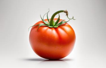Fresh tomato isolated on white background (Generative AI)- Stock Photo or Stock Video of rcfotostock | RC Photo Stock