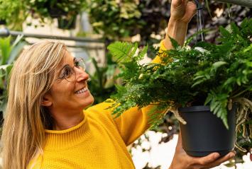 Friendly woman hangs up a flower pot with a green fern in the garden center to take a closer look it would fit into her apartment. Shopping in a greenhouse concept image : Stock Photo or Stock Video Download rcfotostock photos, images and assets rcfotostock | RC Photo Stock.: