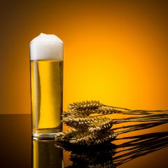 german beer from cologne with corn ears- Stock Photo or Stock Video of rcfotostock | RC-Photo-Stock