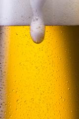 gold overflowing beer with dew- Stock Photo or Stock Video of rcfotostock | RC-Photo-Stock
