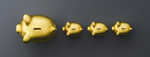 Gold piggy bank as row leader, investment and development concept : Stock Photo or Stock Video Download rcfotostock photos, images and assets rcfotostock | RC Photo Stock.: