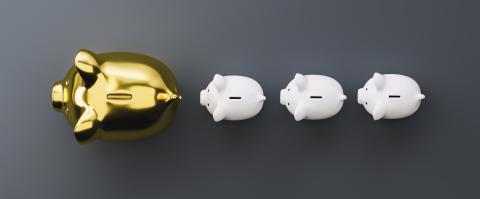 Gold piggy bank as row leader, investment and development concept- Stock Photo or Stock Video of rcfotostock | RC Photo Stock