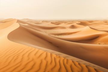 Golden desert dunes under a moody sky with distant horizon- Stock Photo or Stock Video of rcfotostock | RC Photo Stock