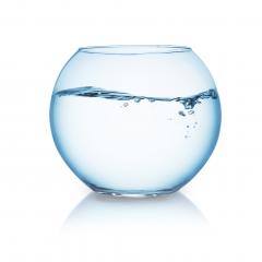goldfish glass with water waves- Stock Photo or Stock Video of rcfotostock | RC Photo Stock
