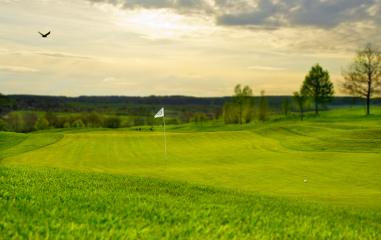 Golf putting green : Stock Photo or Stock Video Download rcfotostock photos, images and assets rcfotostock | RC-Photo-Stock.: