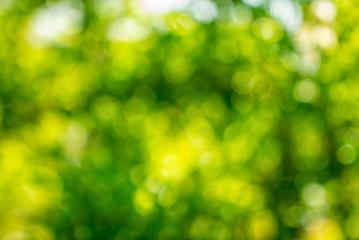 green bokeh background, green abstract Defocused bokeh - Stock Photo or Stock Video of rcfotostock | RC-Photo-Stock