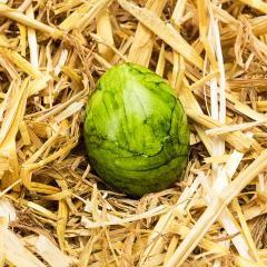 green easter egg lies in straw : Stock Photo or Stock Video Download rcfotostock photos, images and assets rcfotostock | RC Photo Stock.: